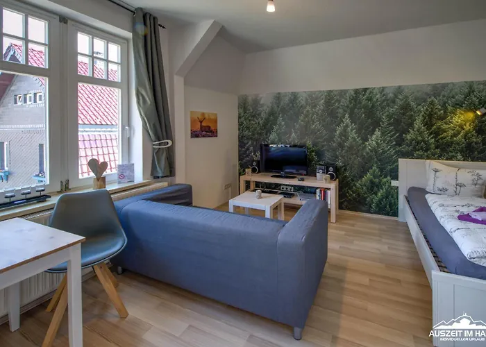 Auszeit-im-harz Haus 1 Brockenzwerg アパート *