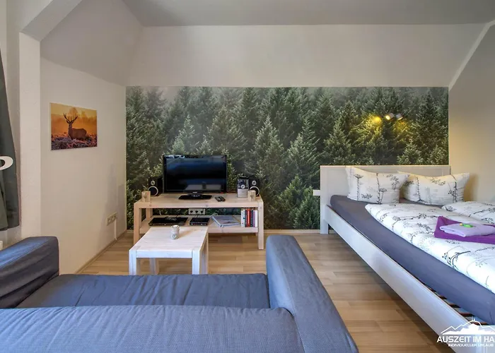 Apartamento Auszeit-im-harz Haus 1 Brockenzwerg *