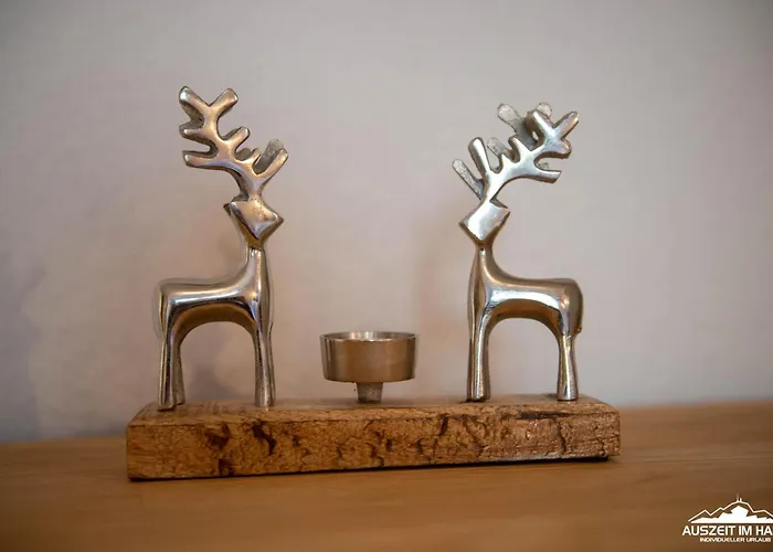 Auszeit-im-harz Haus 1 Brockenzwerg Apartamento *